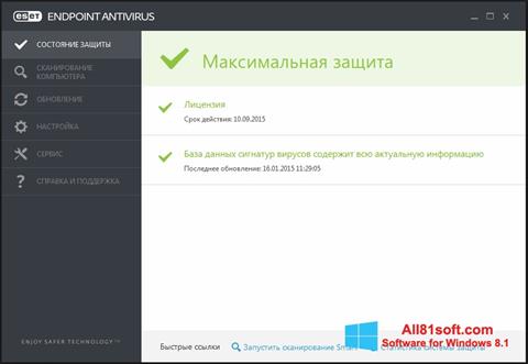 Zrzut ekranu ESET Endpoint Antivirus na Windows 8.1