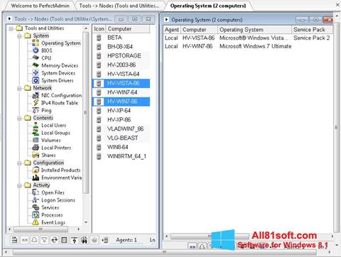 Zrzut ekranu Remote Administration Tool na Windows 8.1