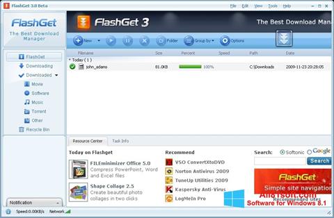 Zrzut ekranu FlashGet na Windows 8.1