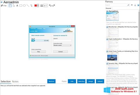 Zrzut ekranu AeroAdmin na Windows 8.1