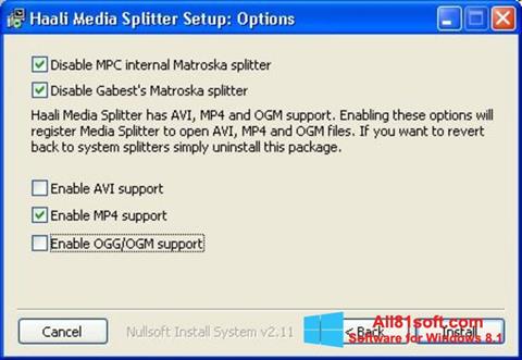 Zrzut ekranu Haali Media Splitter na Windows 8.1