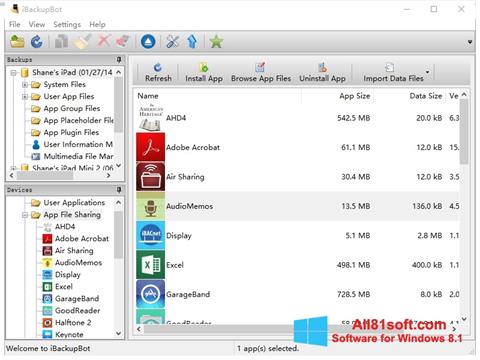 Zrzut ekranu iBackupBot na Windows 8.1