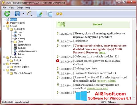 Zrzut ekranu Multi Password Recovery na Windows 8.1