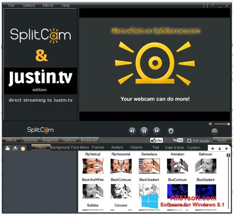 Zrzut ekranu SplitCam na Windows 8.1