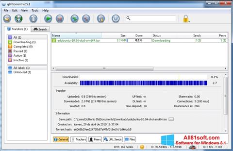 Zrzut ekranu qBittorrent na Windows 8.1