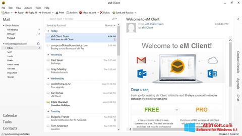 Zrzut ekranu eM Client na Windows 8.1