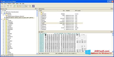 Zrzut ekranu DMDE na Windows 8.1