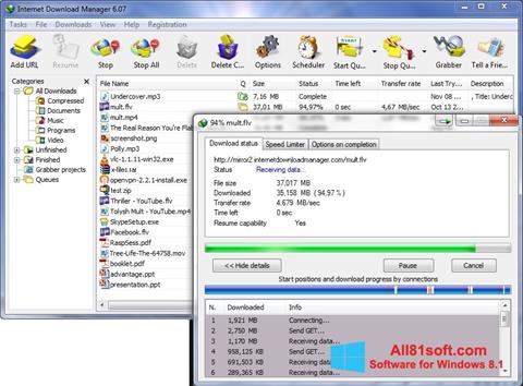 Zrzut ekranu Internet Download Manager na Windows 8.1