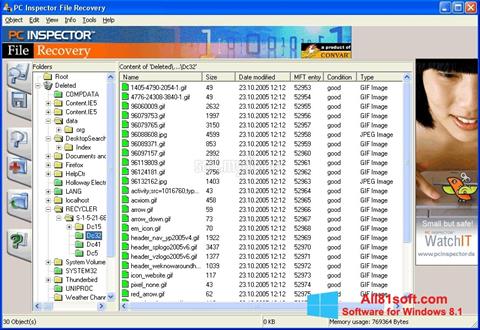 Zrzut ekranu PC Inspector File Recovery na Windows 8.1