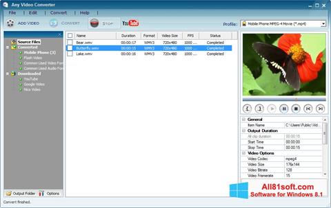 Zrzut ekranu Any Video Converter na Windows 8.1