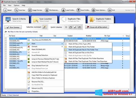 Zrzut ekranu Duplicate Cleaner na Windows 8.1