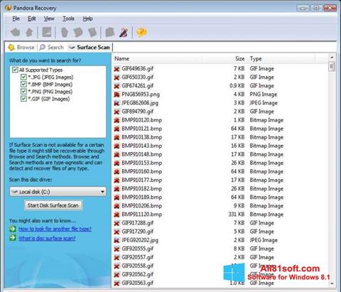 Zrzut ekranu Pandora Recovery na Windows 8.1