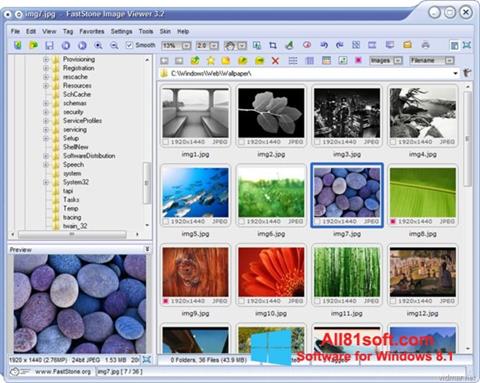 Zrzut ekranu FastStone Image Viewer na Windows 8.1