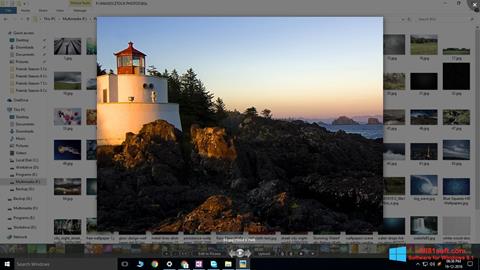 Zrzut ekranu Picasa Photo Viewer na Windows 8.1