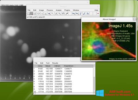 Zrzut ekranu ImageJ na Windows 8.1