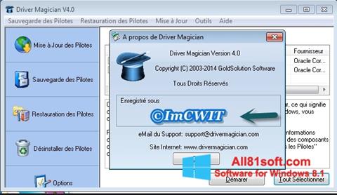 Zrzut ekranu Driver Magician na Windows 8.1