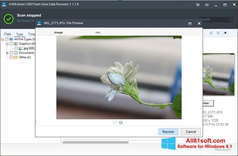 Zrzut ekranu USB Flash Drive Recovery na Windows 8.1