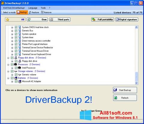 Zrzut ekranu Driver Backup na Windows 8.1